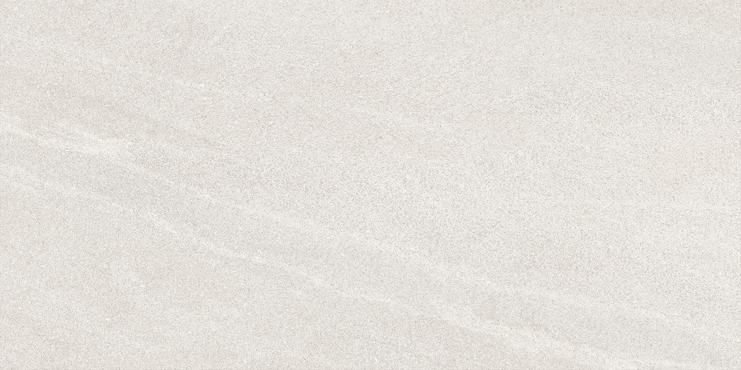 SSA12602