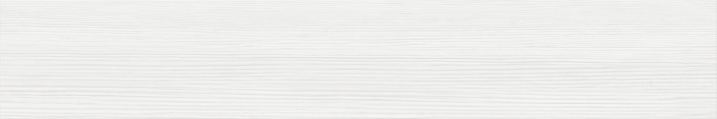 WSD21202
