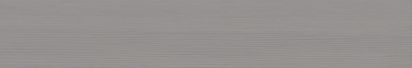 WSD21205