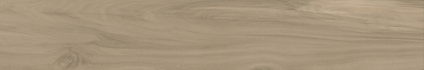 WTA21203