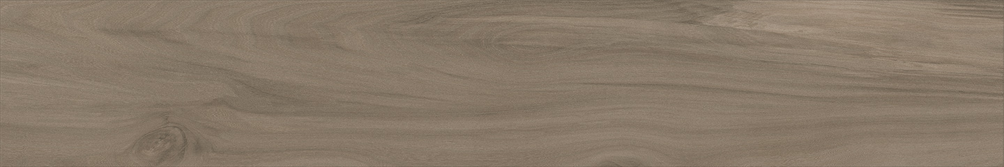 WTA21207