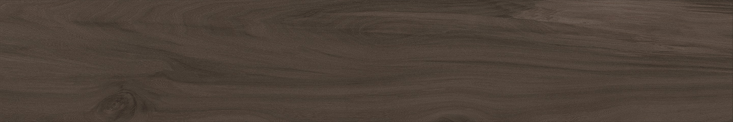 WTA21209